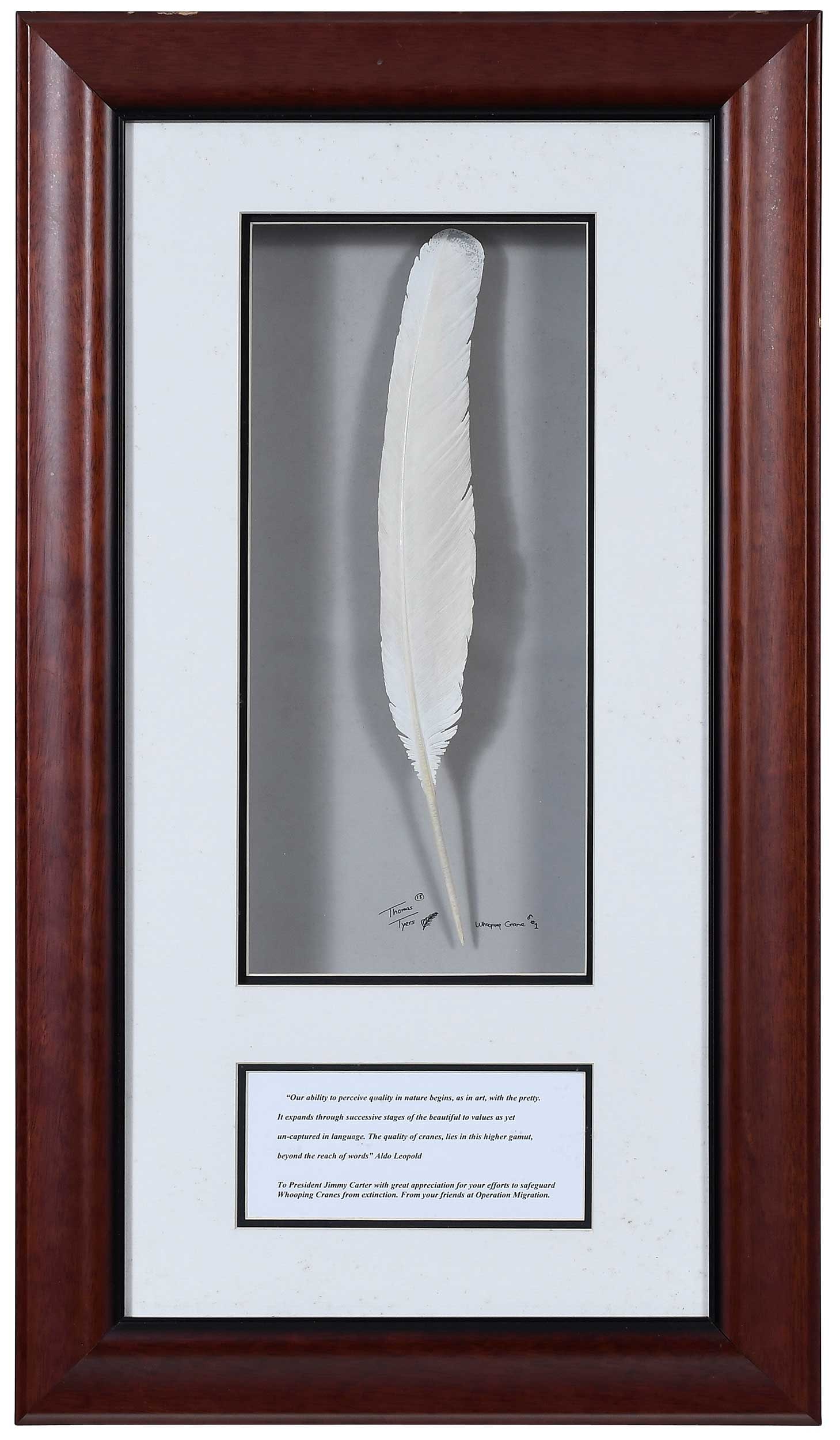 Award for Conservation Efforts Presented to Jimmy Carter (1 of 6)