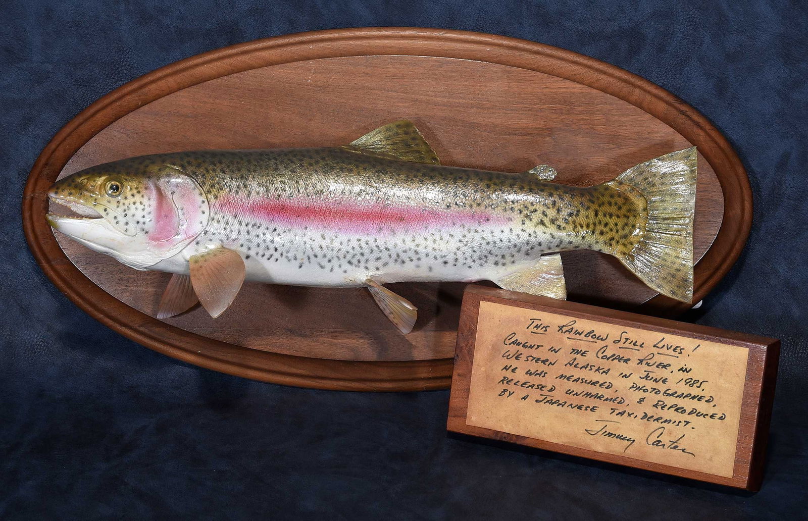 Rainbow Trout Trophy with Jimmy Carter Signed Plaque (1 of 6)