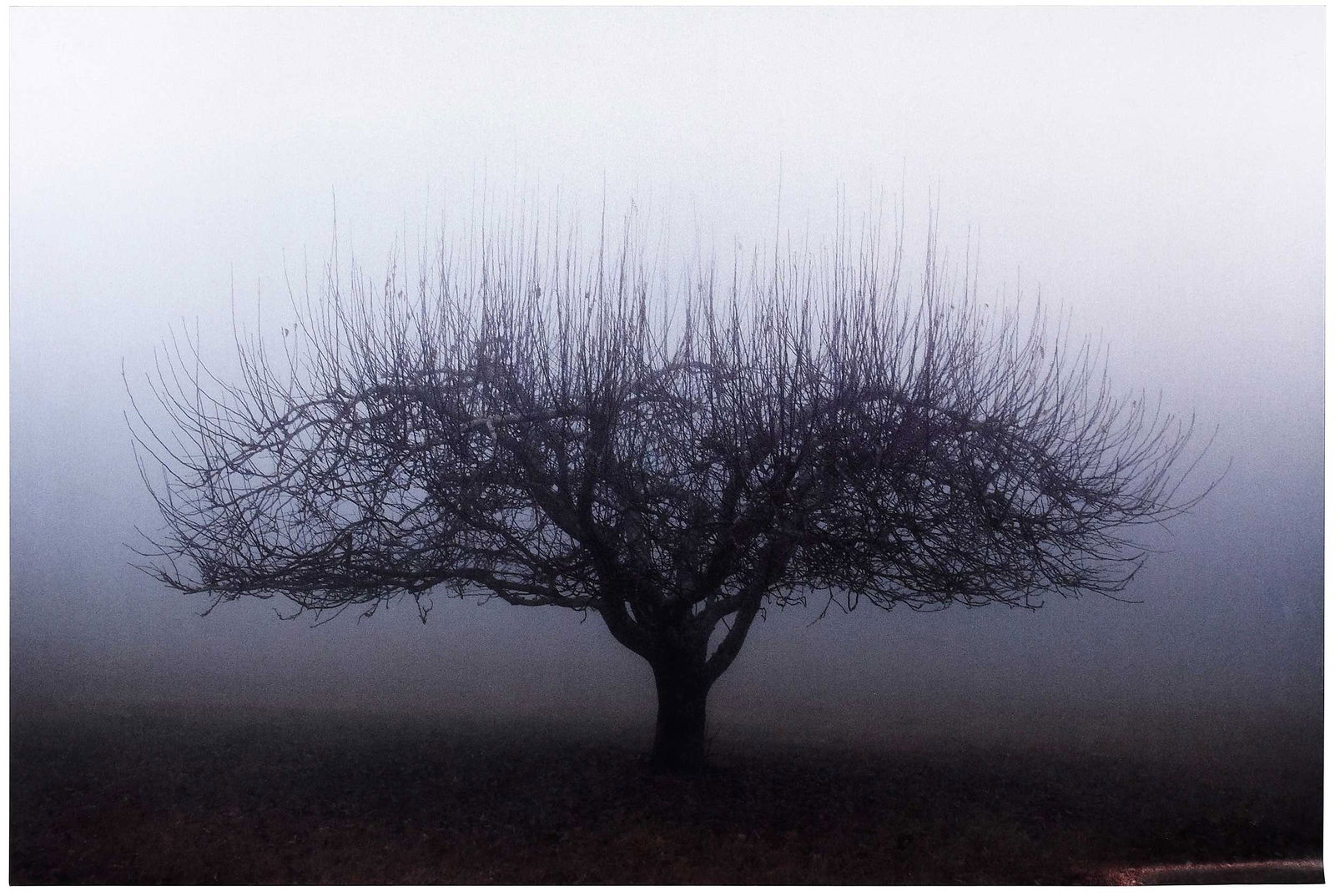 Betty Edge Photograph (1 of 5)