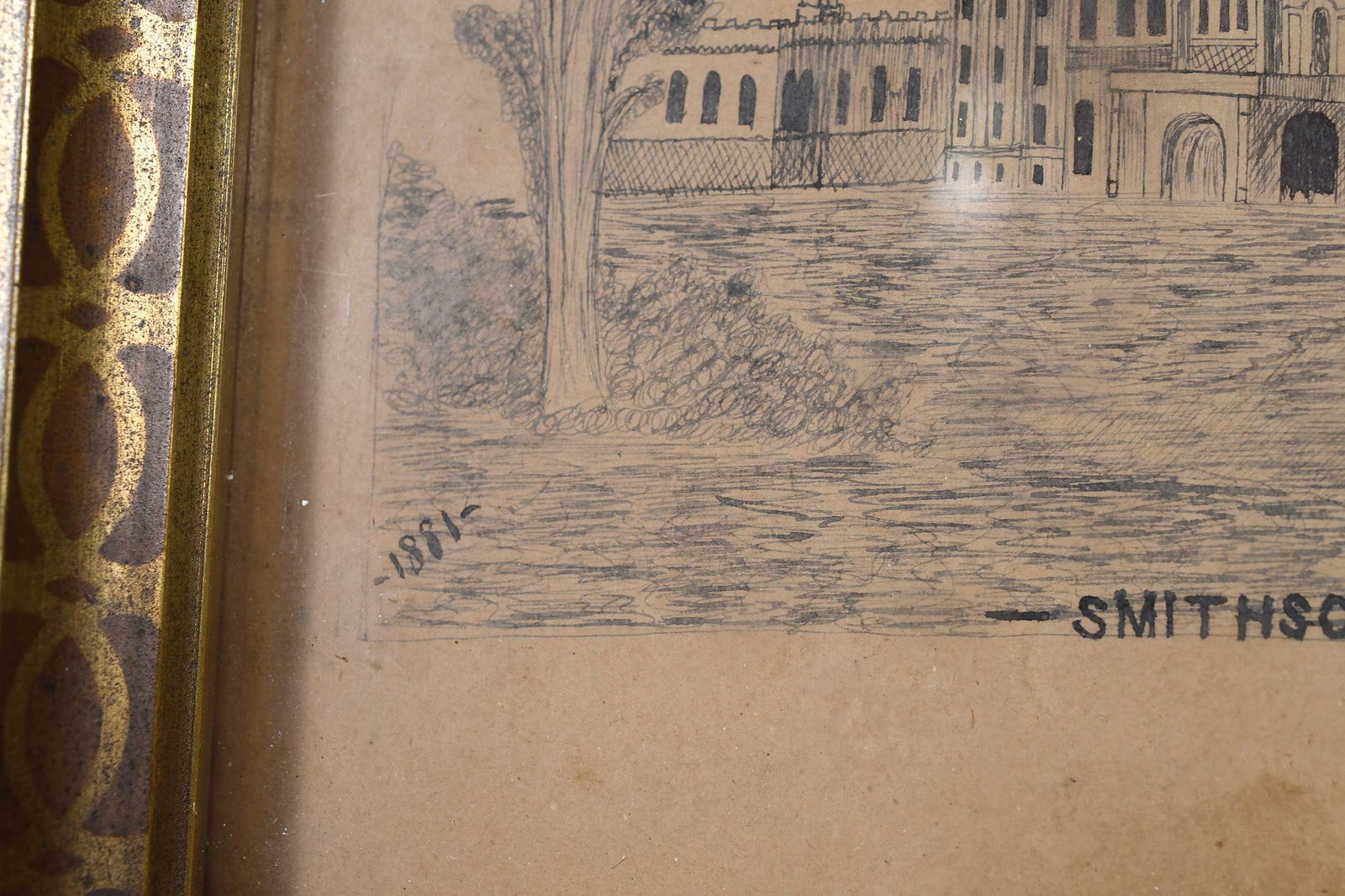 Smithsonian Drawing - 4