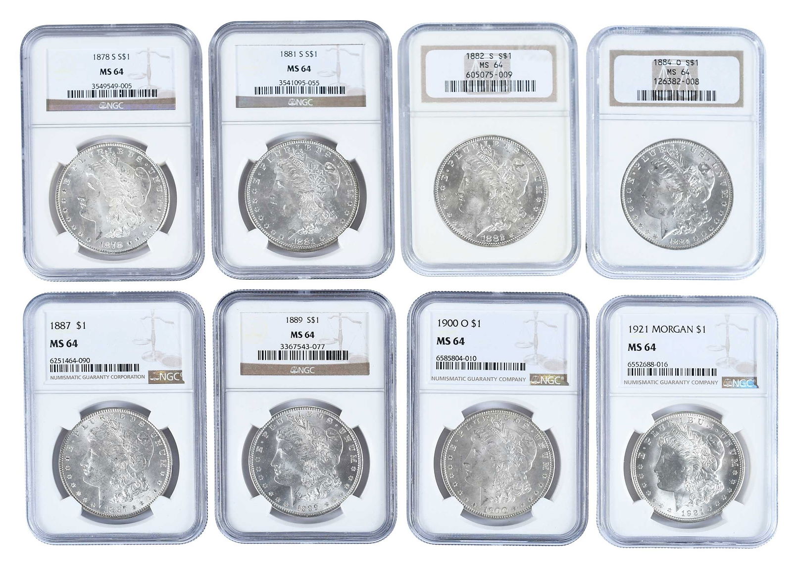 Eight Graded Morgan Dollars (1 of 2)