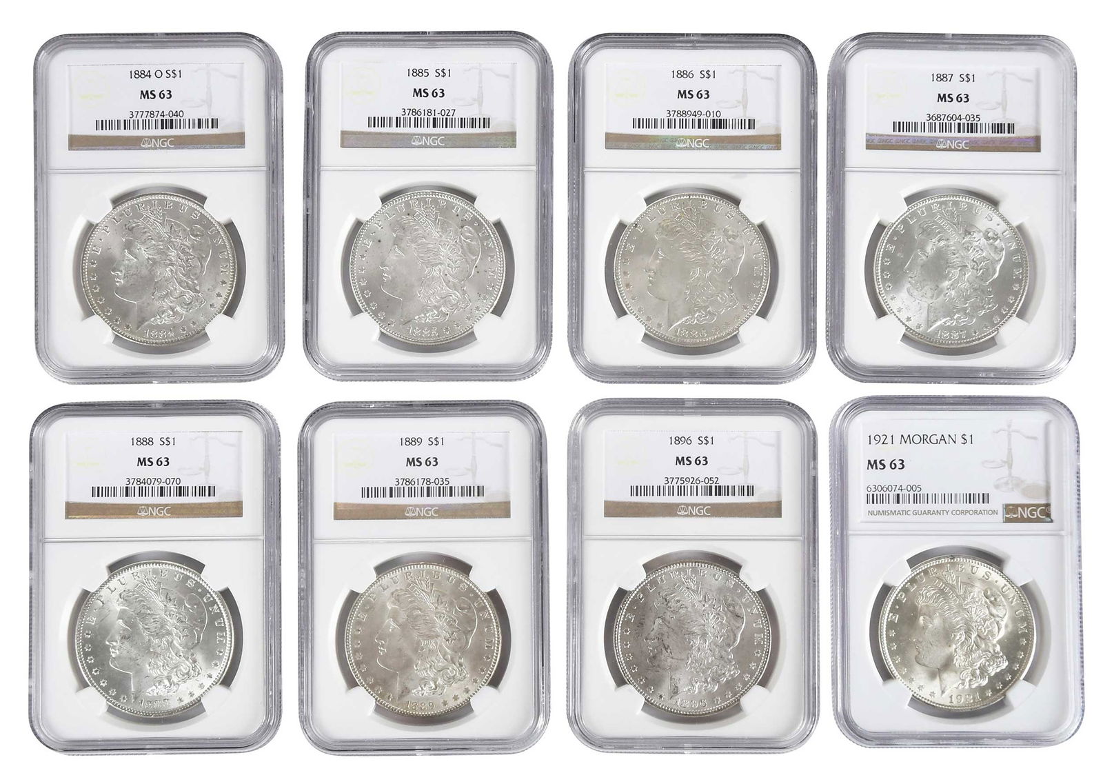 Eight Graded Morgan Dollars (1 of 2)