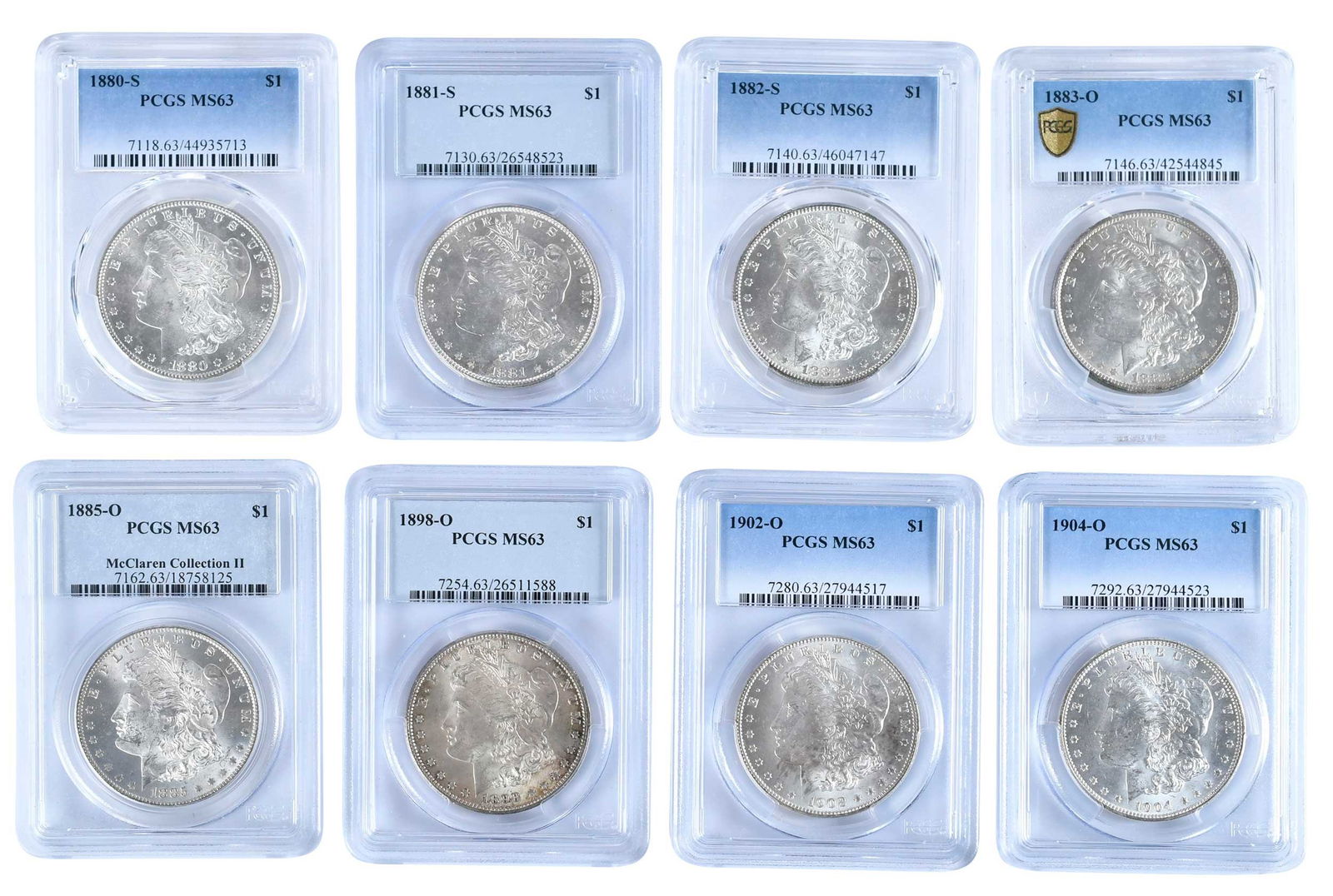 Eight Graded Morgan Dollars (1 of 2)