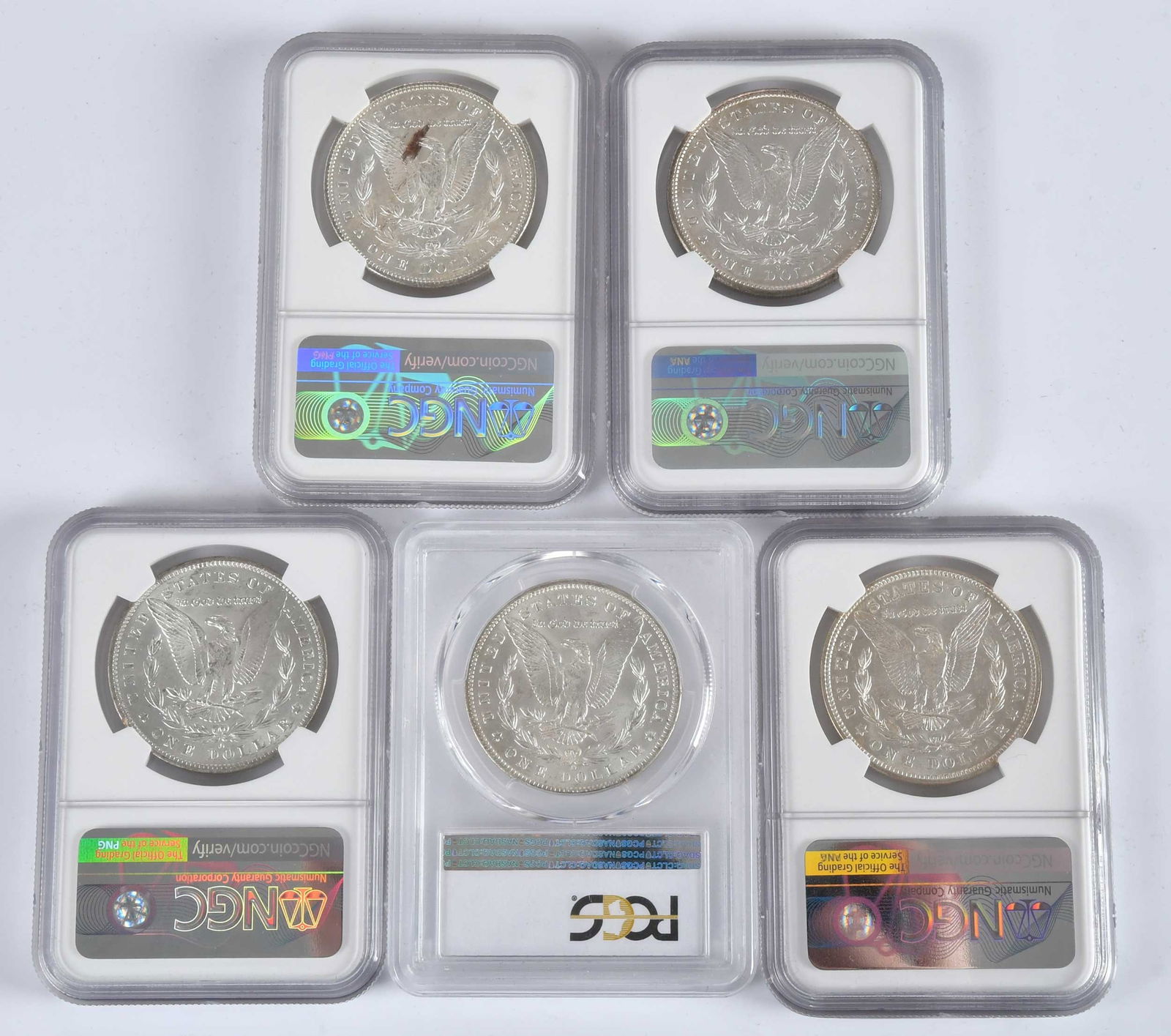 Five Graded Morgan Dollars - 2