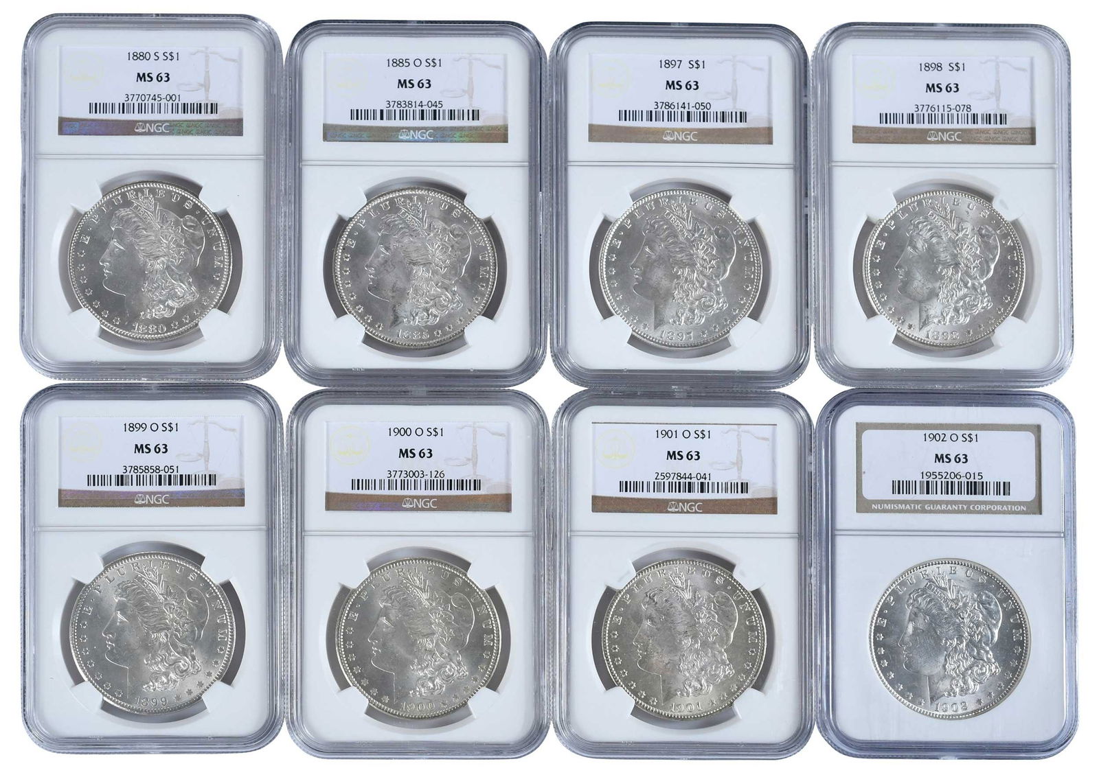 Eight Graded Morgan Dollars (1 of 2)