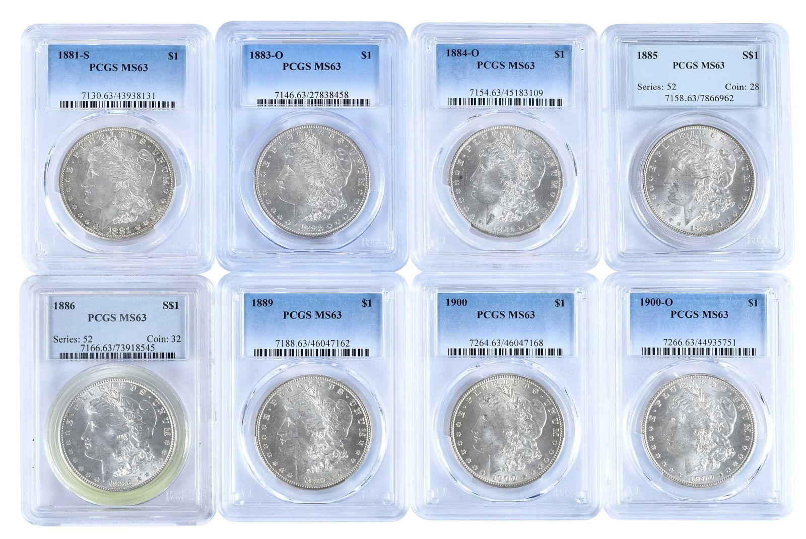 Eight Graded Morgan Dollars (1 of 2)