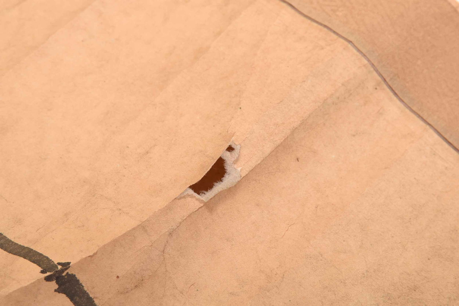 Chinese Bamboo Scroll - 5