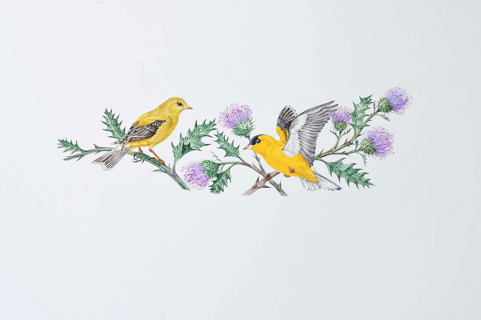 Robin Hill, Thirteen Small Illustrations - 2