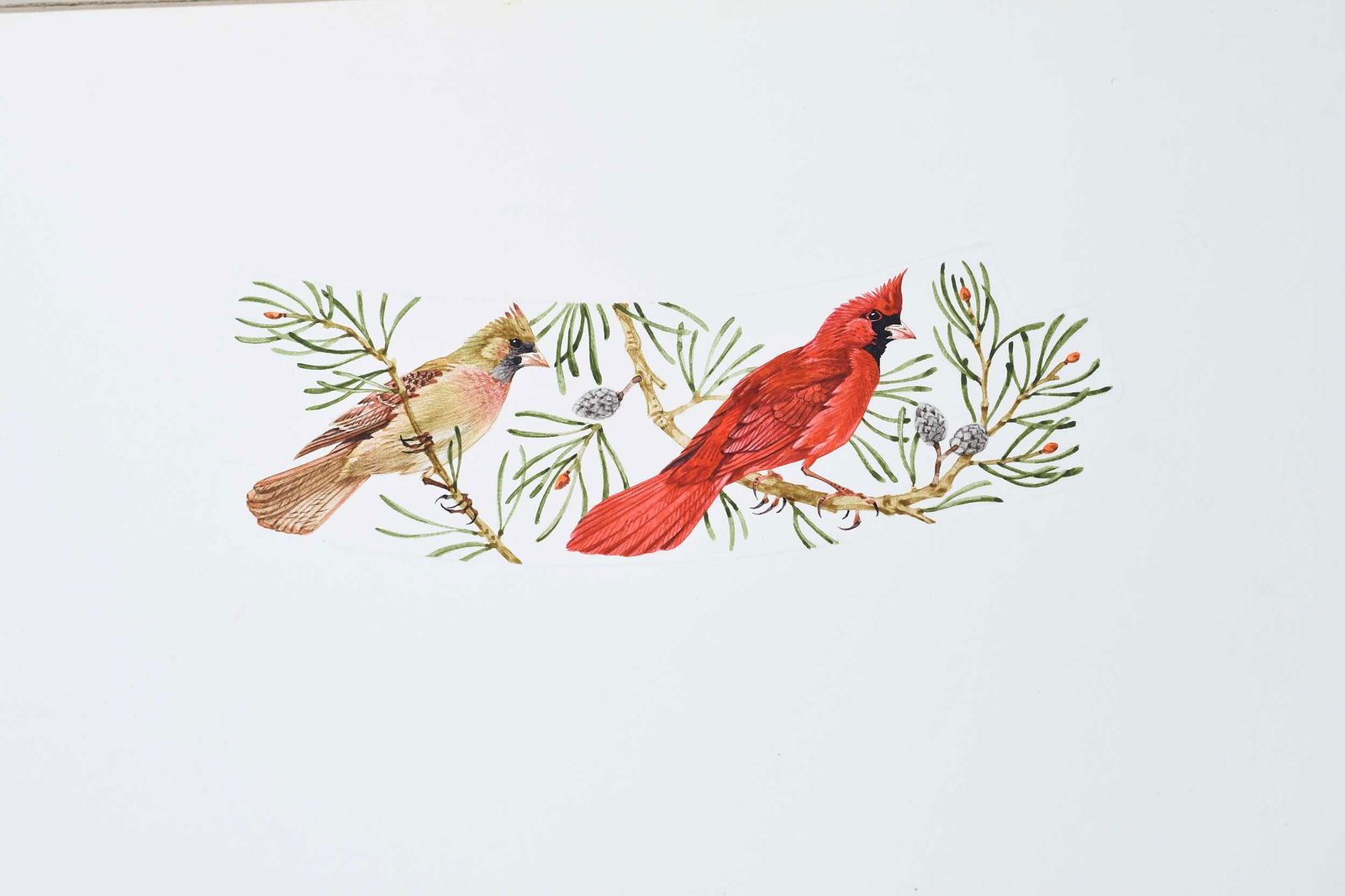 Robin Hill, Thirteen Small Illustrations - 3