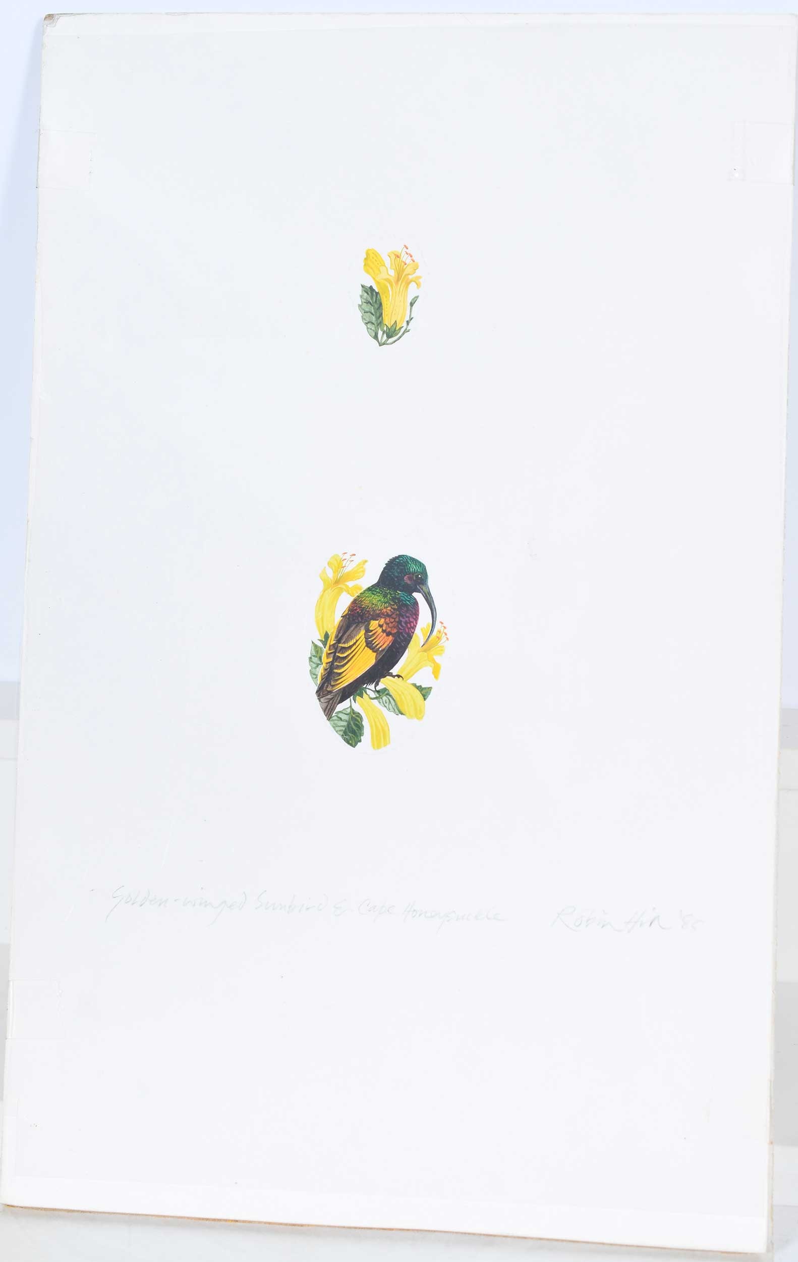 Robin Hill, Thirteen Small Illustrations - 4