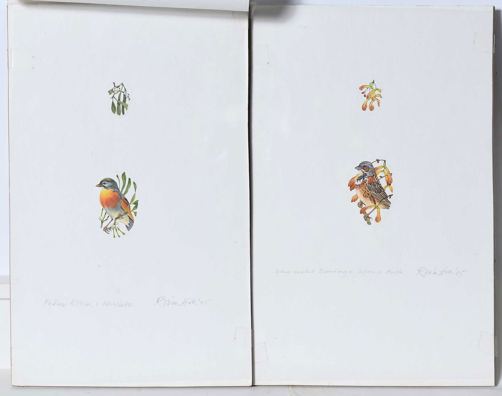 Robin Hill, Thirteen Small Illustrations - 5