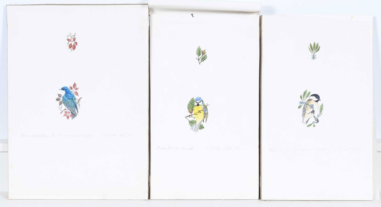 Robin Hill, Thirteen Small Illustrations - 6