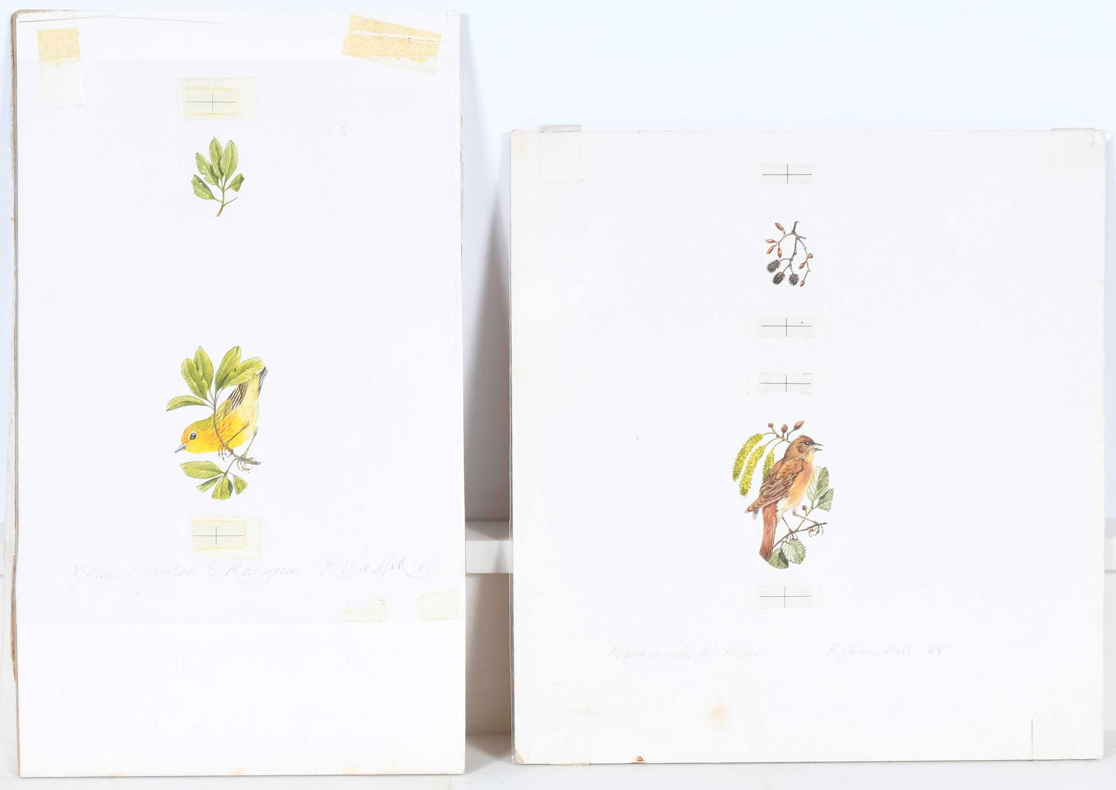 Robin Hill, Thirteen Small Illustrations - 7