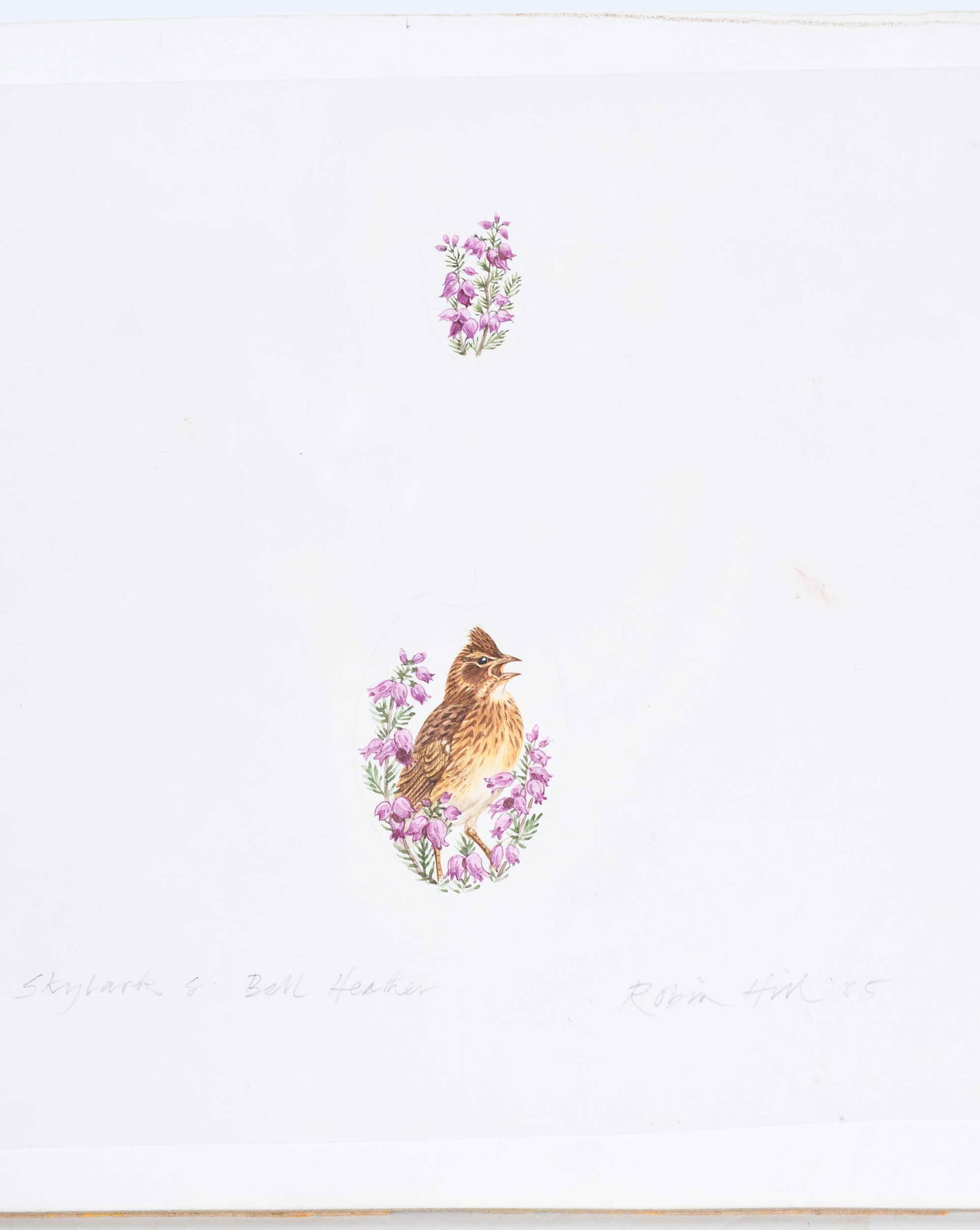 Robin Hill, Thirteen Small Illustrations - 9