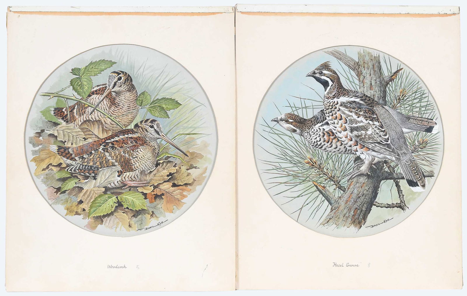 Basil Ede, Pair of Illustrations: (District of Columbia/Pennsylvania/England, 1931-2016)From the Game Birds of the World plate series: Woodcock; Hazel Grouse; both signed lower right "Basil Ede", gouache on cardstock,