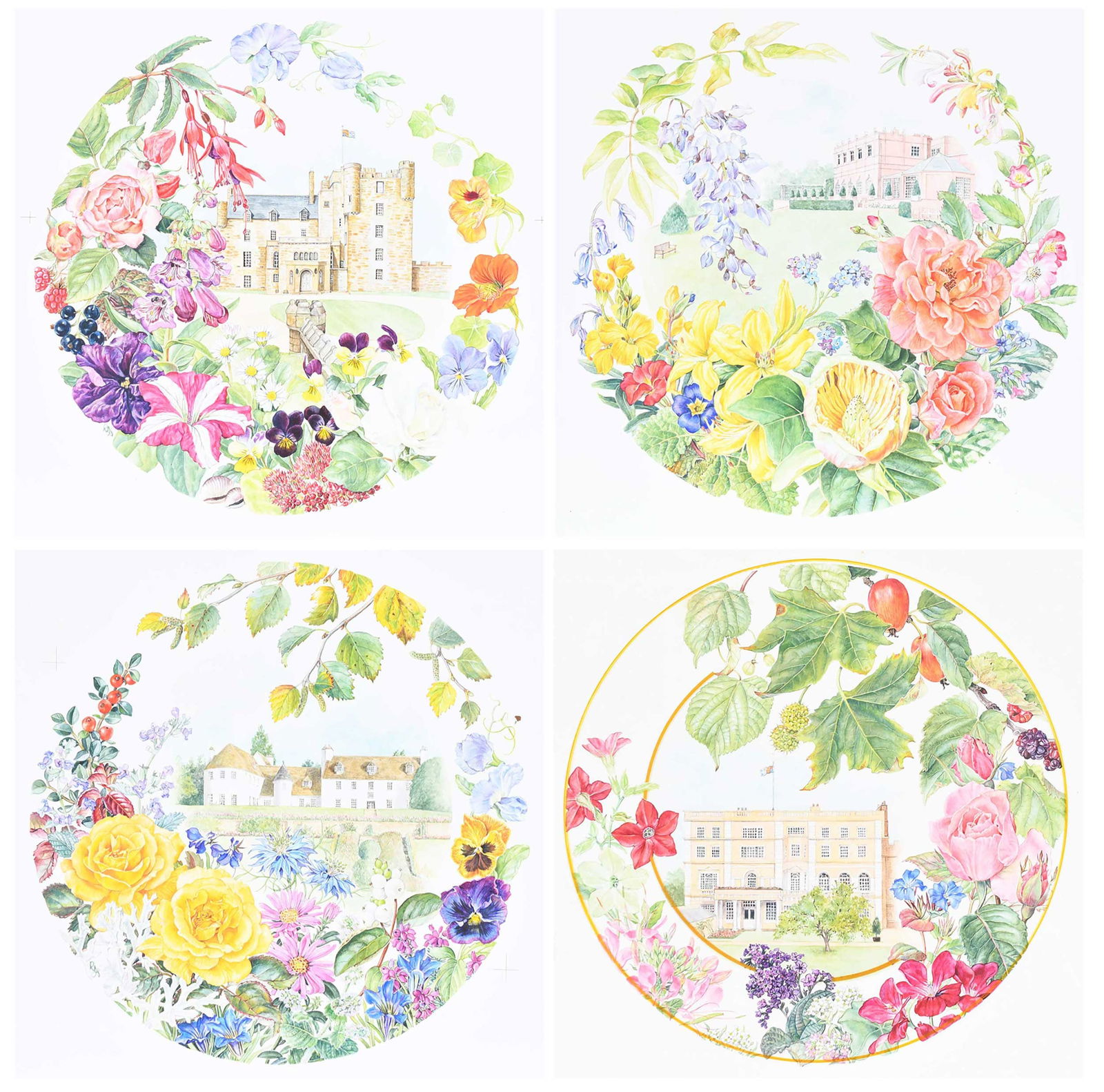 Rosanne Sanders, Four Illustrations (1 of 7)