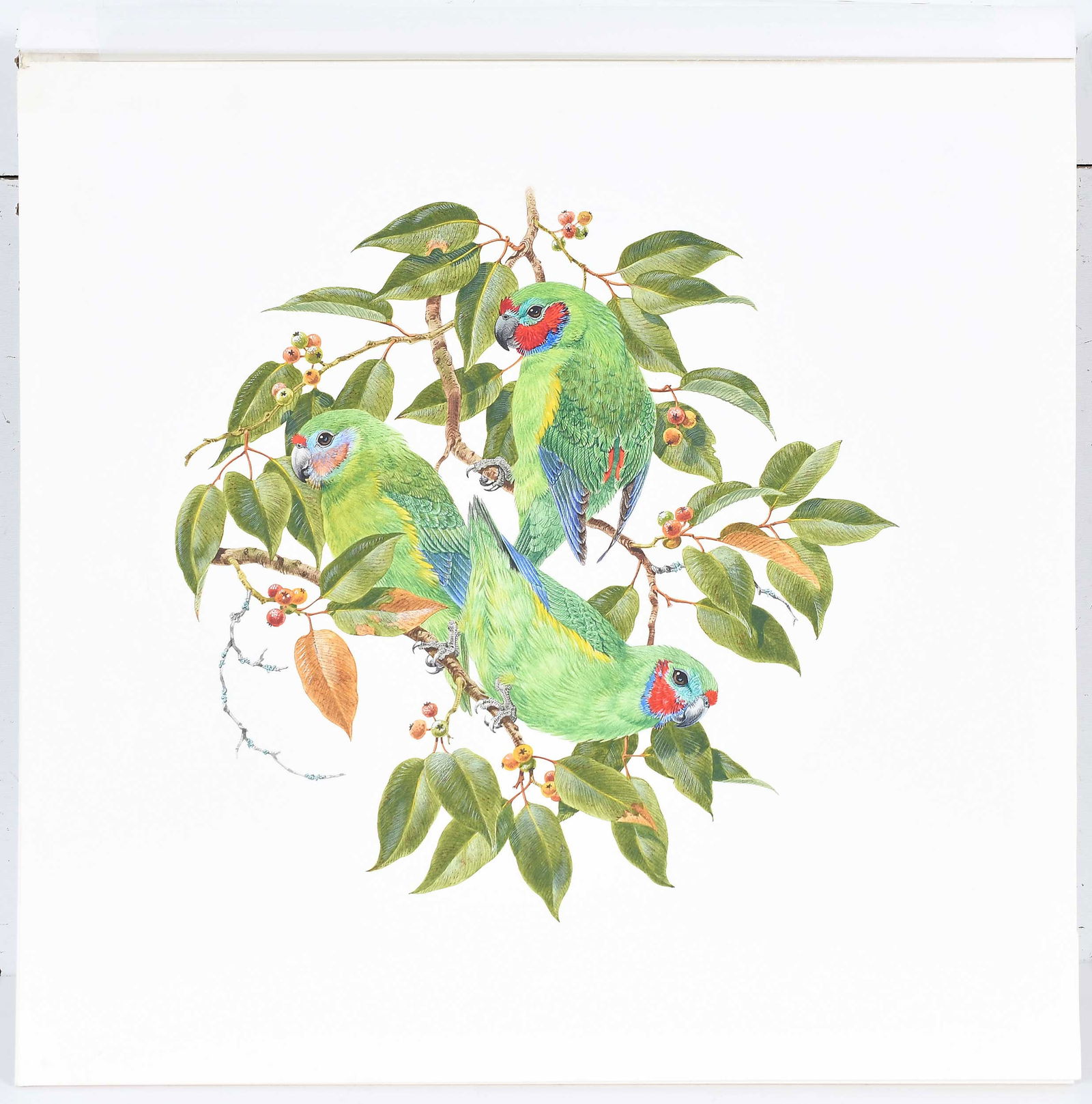 Robin Hill, Three Illustrations - 2