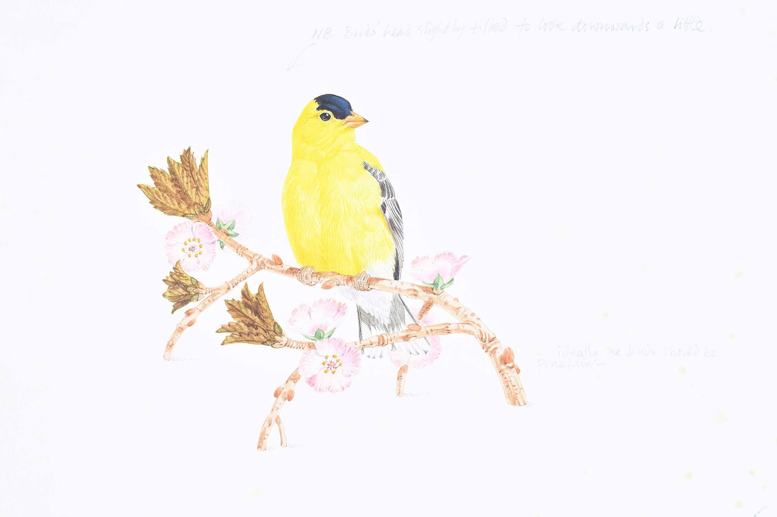 Robin Hill, Four Illustrations - 4