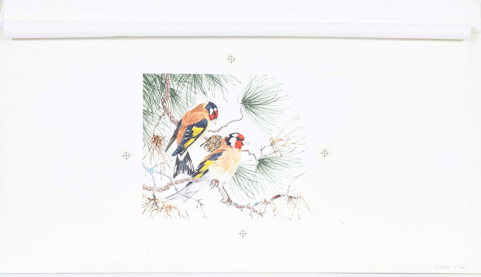 Robin Hill, Four Illustrations - 7