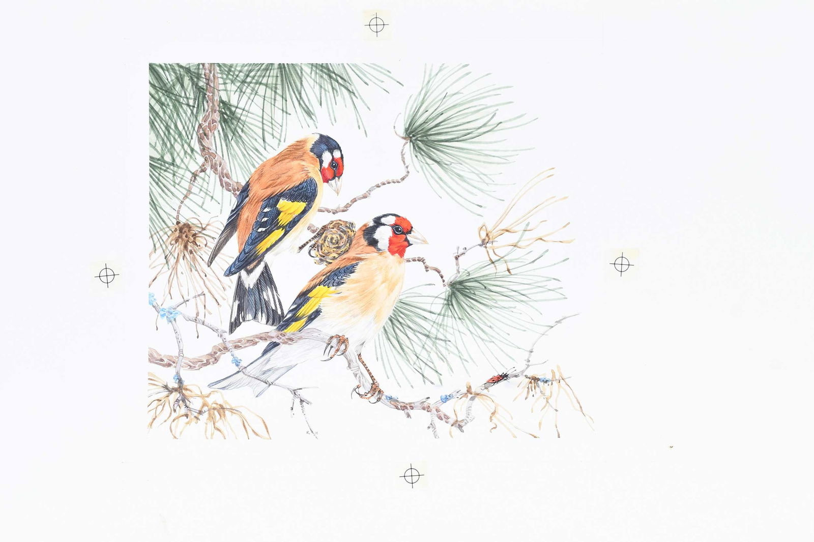 Robin Hill, Four Illustrations - 8