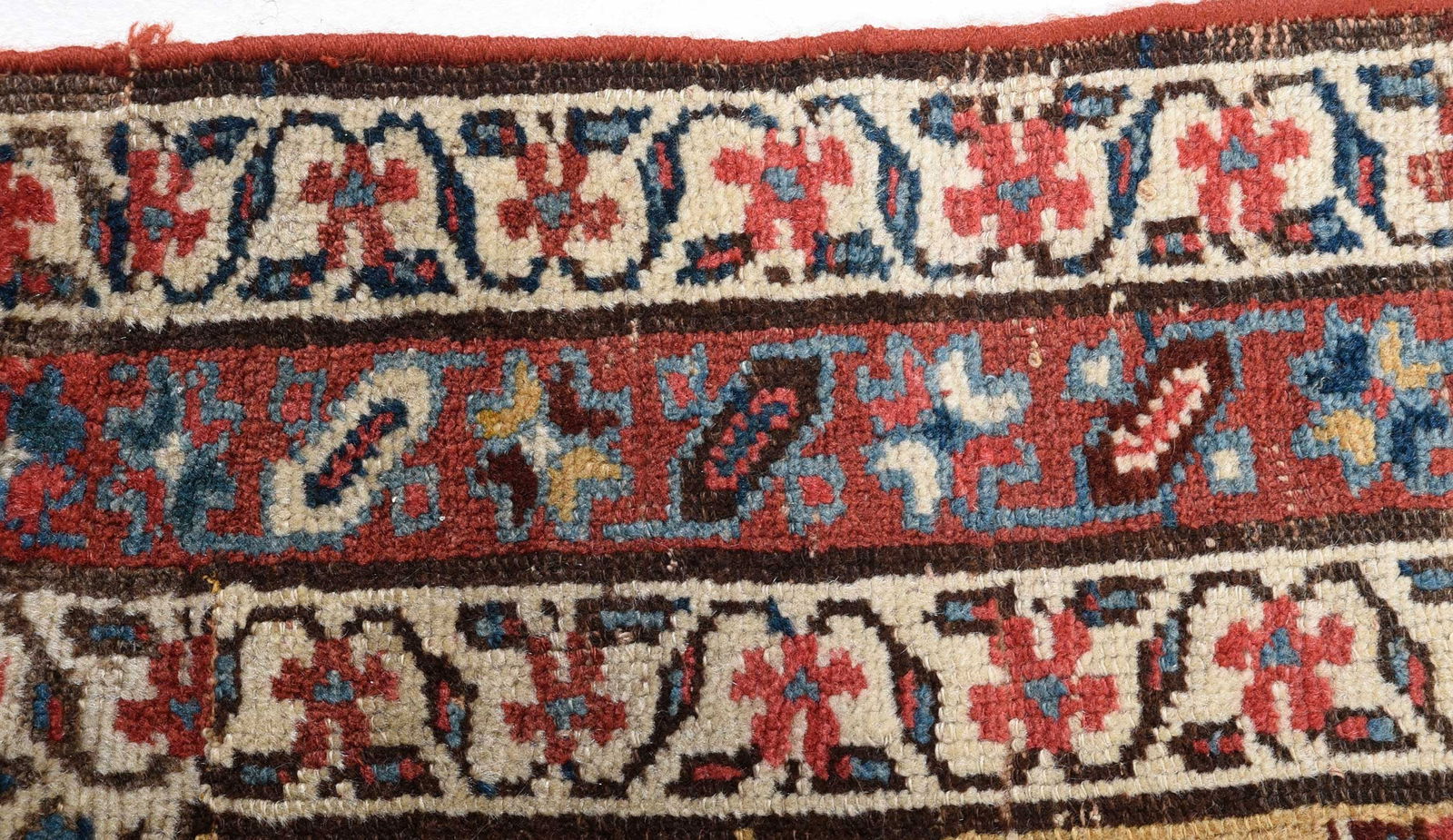 Caucasian Runner - 5