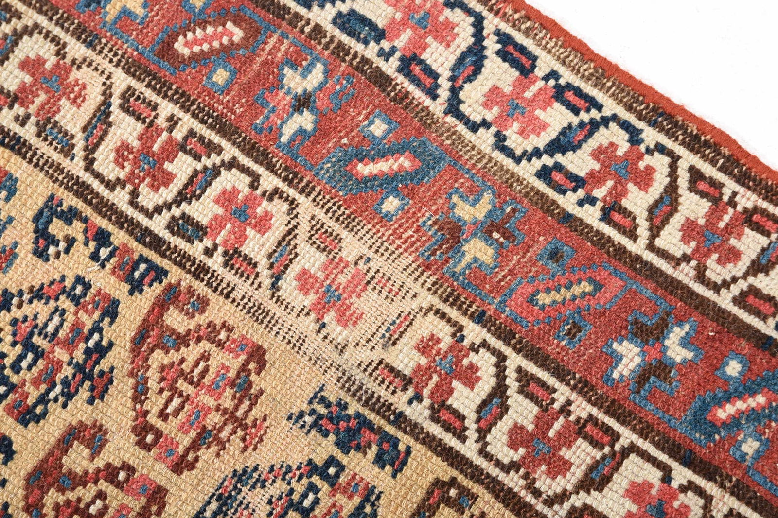 Caucasian Runner - 7