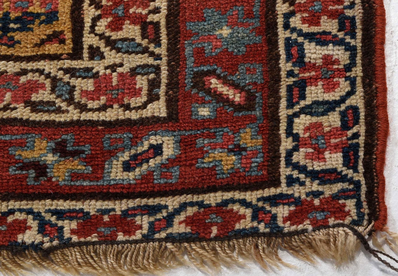 Caucasian Runner - 8