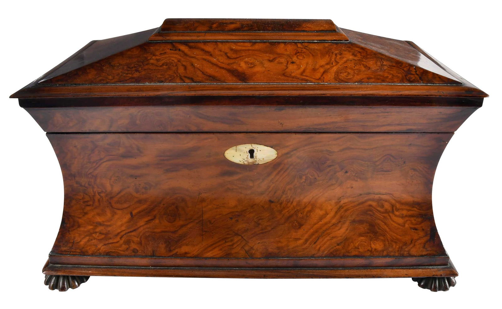 Large Regency Burlwood Sarcophagus Form Tea Caddy (1 of 7)