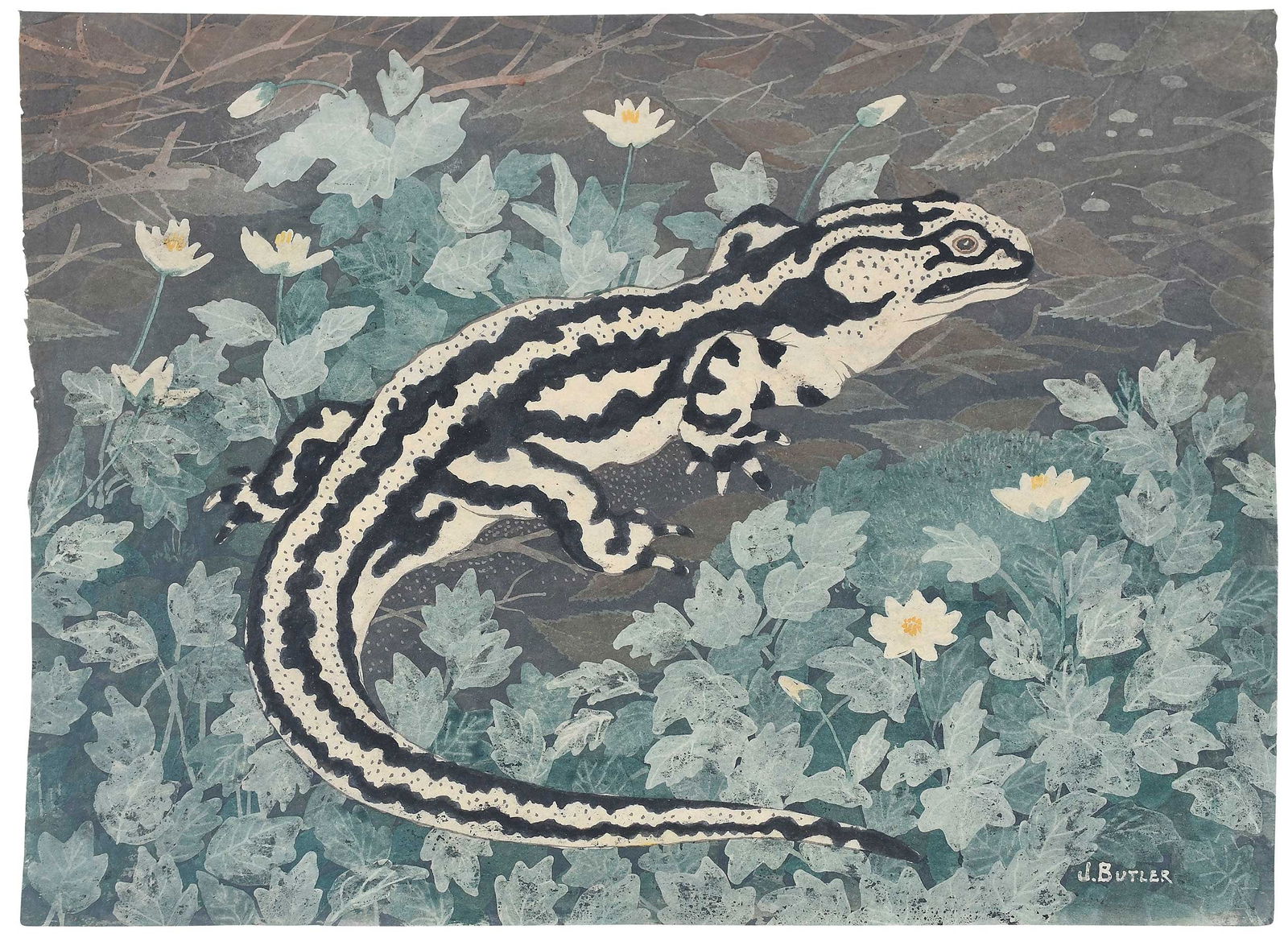 James Butler: (American, 1893-1976)Black Striped Lizard circa 1930, signed lower right, "J. BUTLER", watercolor on washi paper, 11-3/8 x 15-1/4 in.; matted, 16 x 22 in.Provenance: Carll H. de Silver Fund;