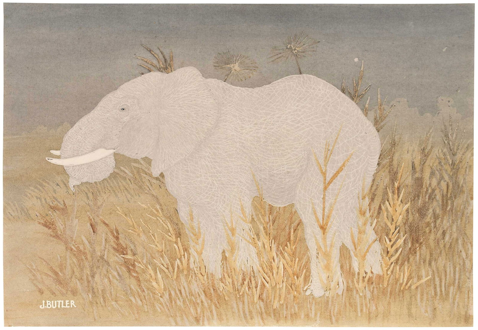 James Butler: (American,1893-1976) Bull Elephant, circa 1930, watercolor on paper, signed lower left: "J. BUTLER", 11 x 16 1/8 in.; unmatted, unframed Provenance: Carll H. de Silver Fund; Property from the Brooklyn