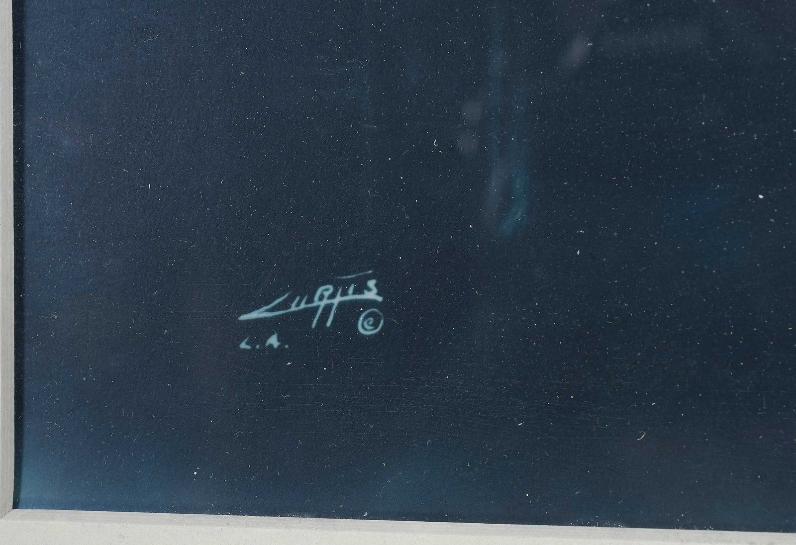 Edward S. Curtis - 2