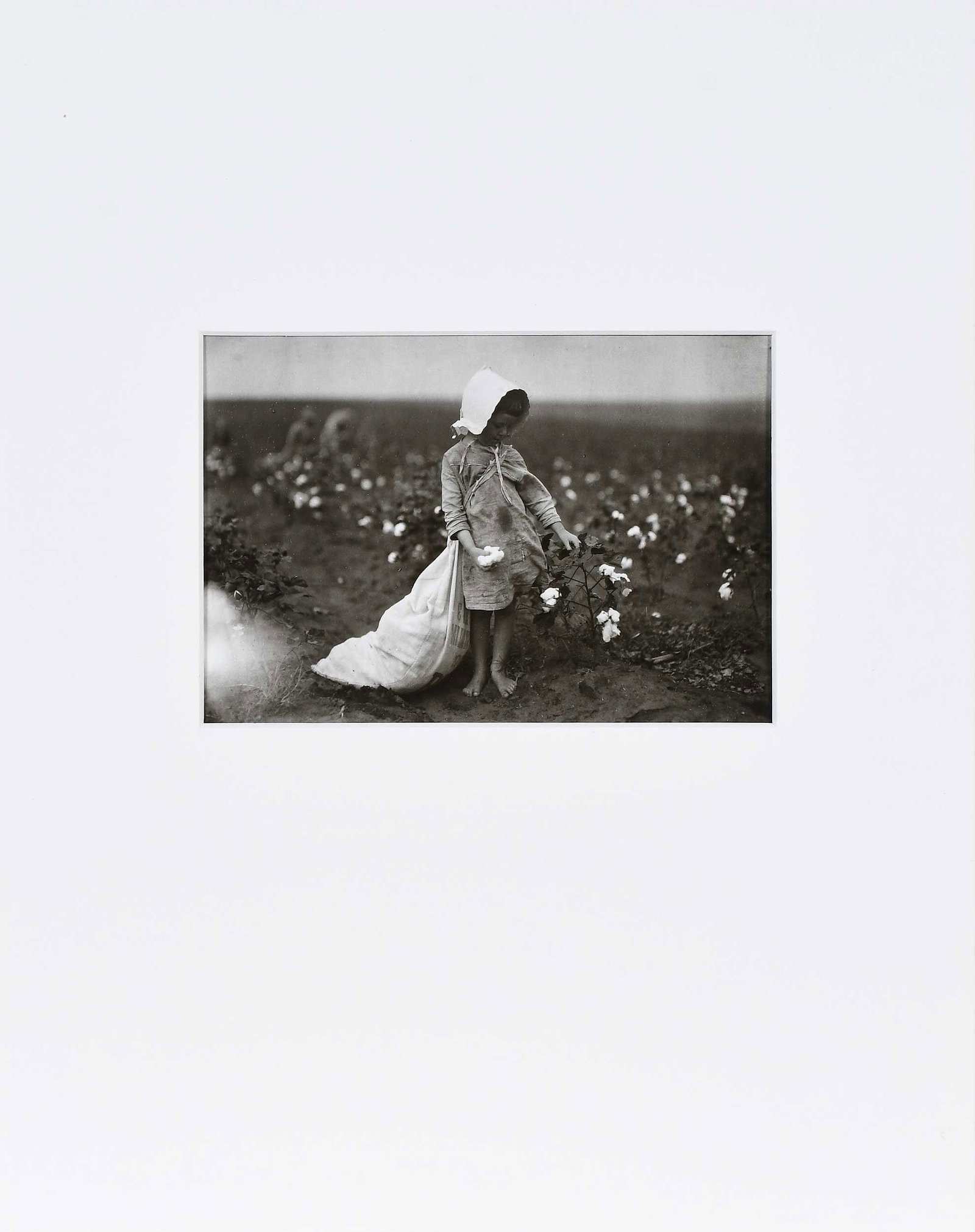 Lewis Hine: (American, 1874-1940)Vera Hill, 5 years old, Cotton Picker, Comanche County, Oklahoma, 1920/30, verso signed "Hine" in pencil, studio stamp verso, gelatin silver print, 4-7/8 x 7 in.; matted, 14 x