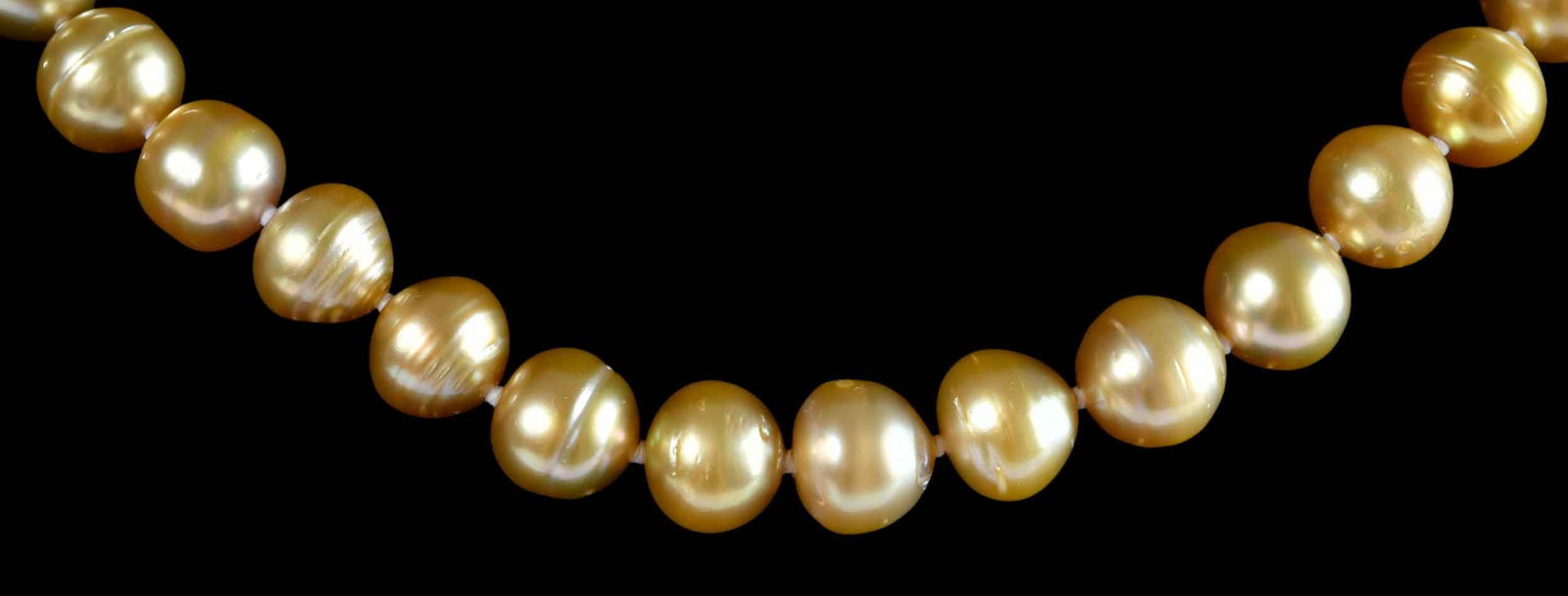 14kt. Single Strand Semi Baroque South Sea Golden Pearl Necklace: 42 South Sea golden pearls, graduating in size, approx. 9.5 - 11.0mm, marked "14K, IPS", yellow gold, 18 in. length, 66.9 g Provenance: Private Collection, Virginia Beach Note: Accompanied by an appra