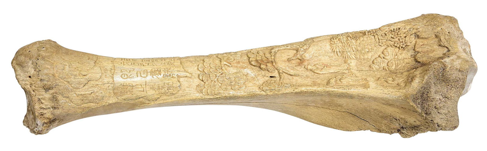 Large Chinese Relief Carved Bone: mid 20th century or older, probably bovine, carved with archaic style script, trees, figures, and ducks, 26-1/4 x 7-3/4 x 6-1/2 in. Provenance: The Collection of William S. Arnett, Atlanta, Georgia;