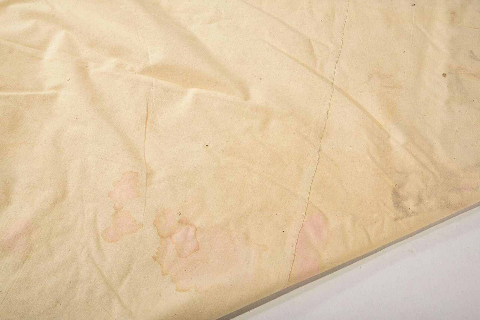 Needlework Carpet - 8