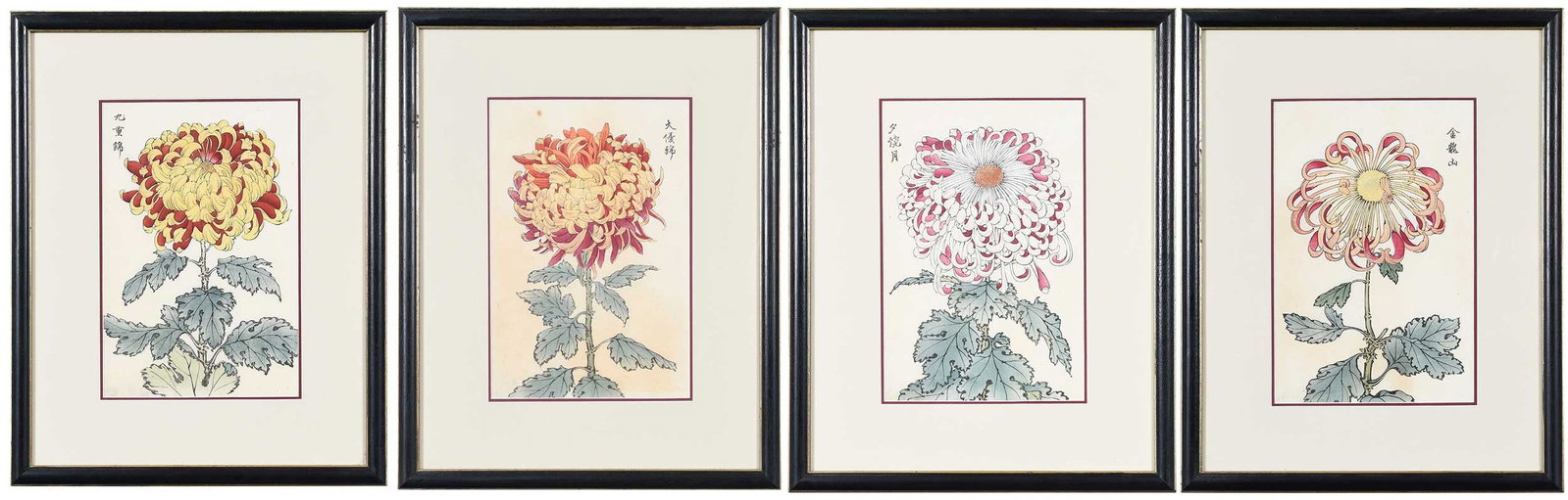 Keika Hasegawa: (Japanese, fl. 1892-1905) Four woodblock prints of chrysanthemums, from the series One Hundred Chrysanthemums, each titled in upper section, sights 11-3/4 x 7-3/4 in.; framed, 19-1/4 x 15-1/4 x 3/4
