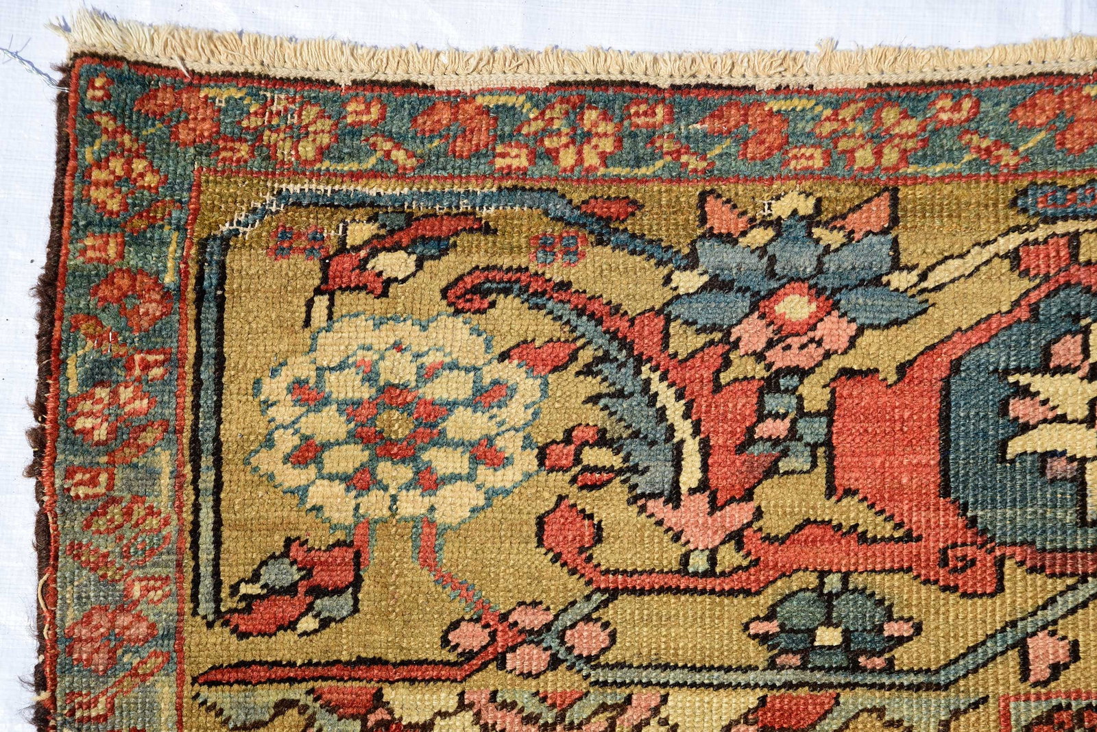 Serapi Carpet - 9