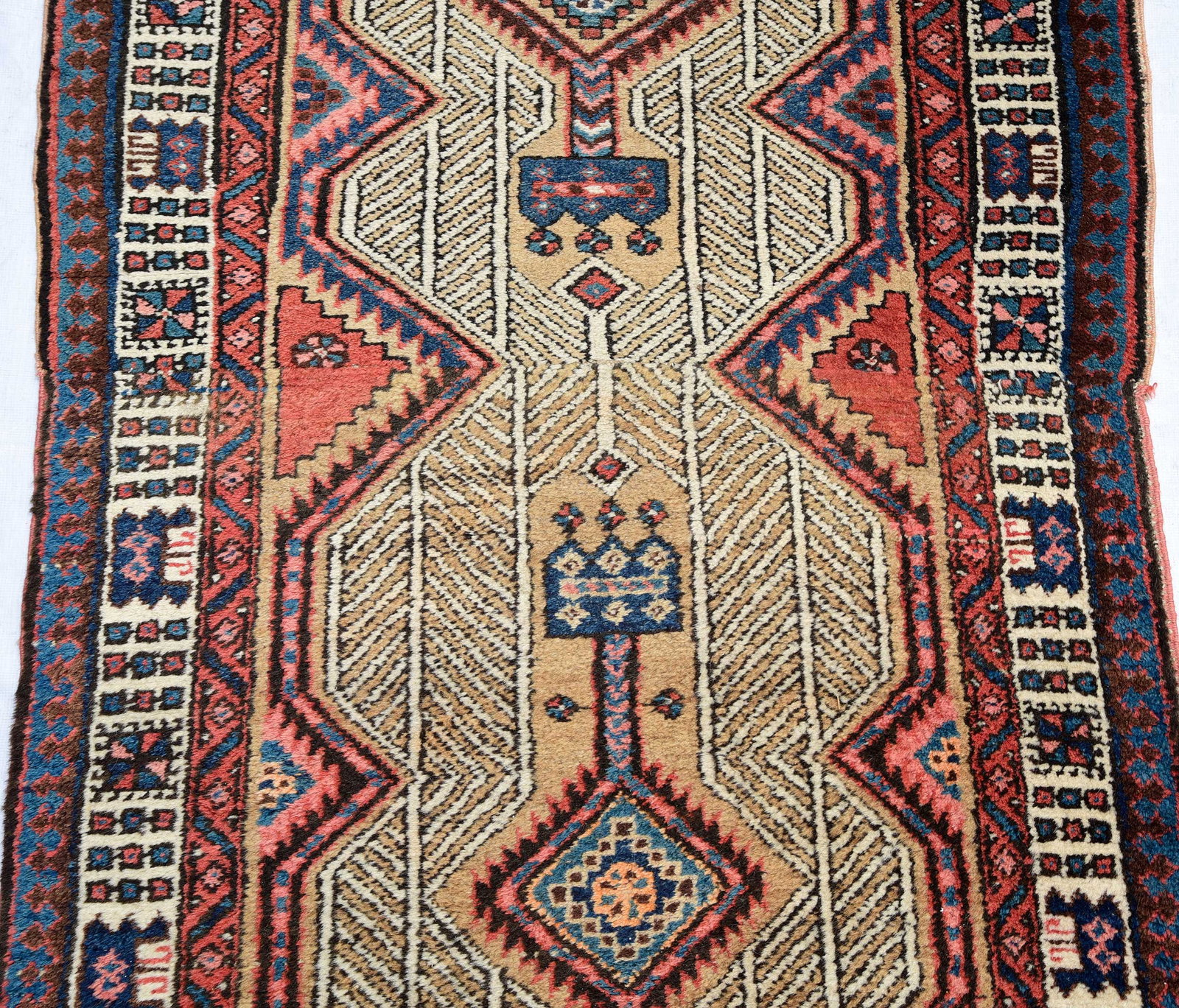 Serab Runner - 7