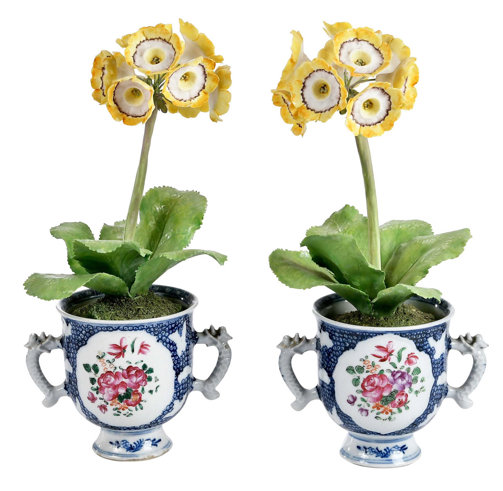 Pair of Vladimir Kanevsky Porcelain Auricula Flowers in Antique Porcelain Cups: Ukrainian, 20th/21st century, porcelain and painted copper, flowers signed "Vladimir" in marker to undersides of bases; set in19th century pair of double handled porcelain cups, each overall approx.