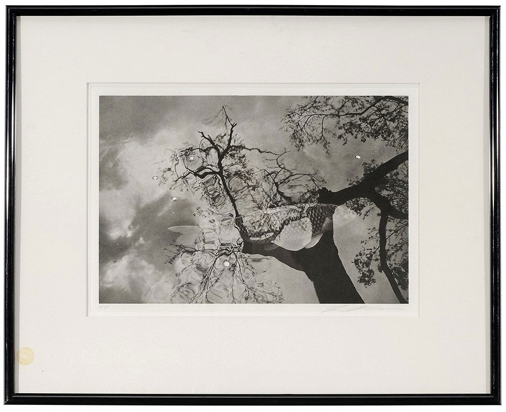 Lee Friedlander: (New York, born 1934) Untitled, 1996, Edition 2/50, folio page from [Cherry Blossom Time in Japan], published by Haywire Press, signed lower right "Lee Friedlander" in pencil and stamped and dated ver