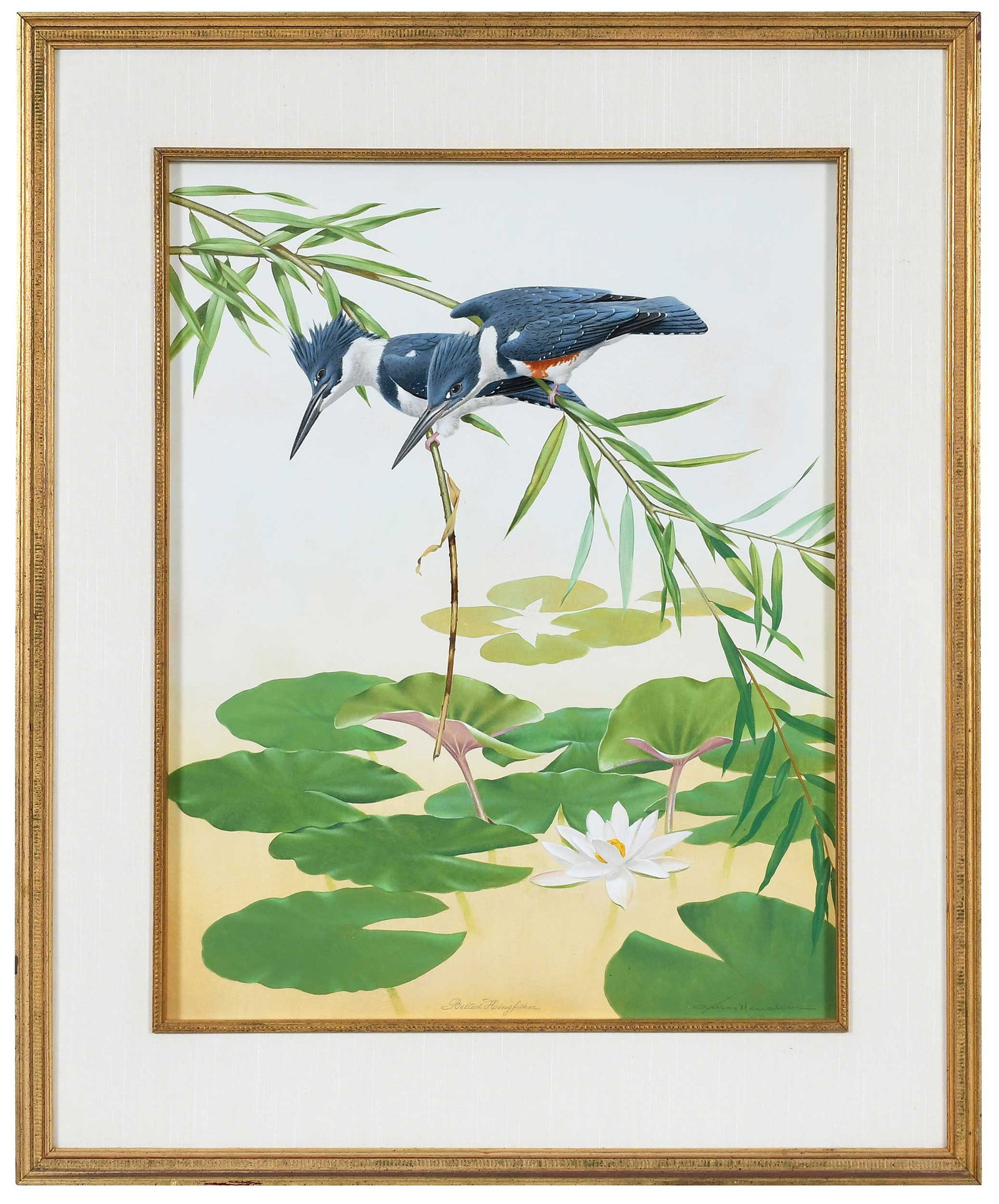 Athos Menaboni: (American/Georgia, 1895-1990) Belted Kingfisher, signed lower right "Athos Menaboni", watercolor on illustration board; 25-1/2 x 20 in.; modern gilt wood frame, 34 x 28 x 1 in. Provenance: Private