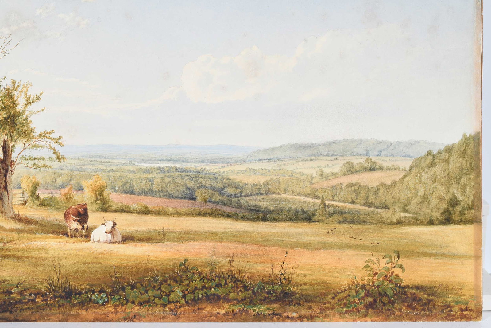 John William Hill - 8