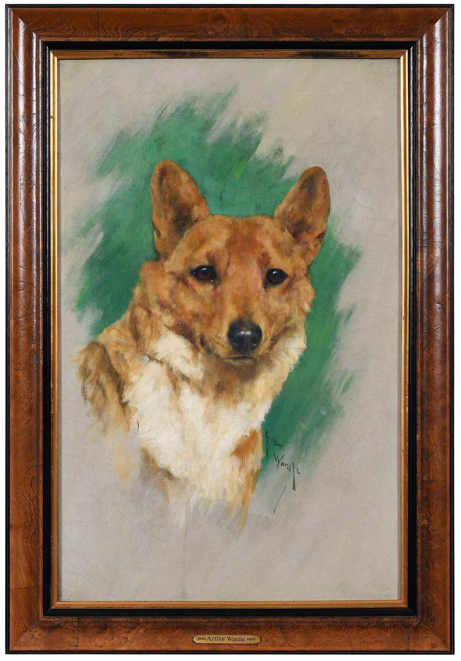 Arthur Wardle, Portrait of a Corgi (1 of 6)