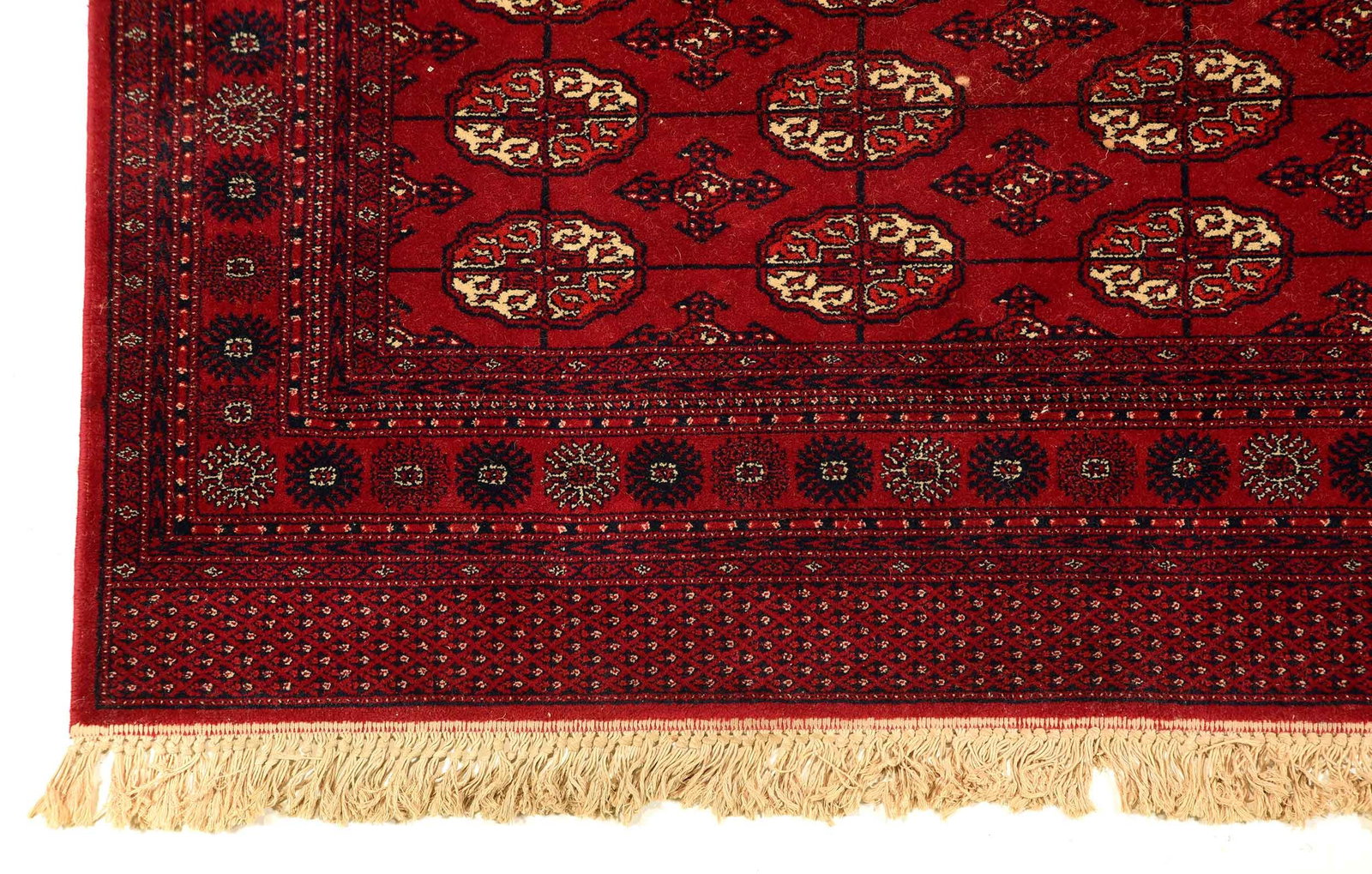 Bokharra Carpet - 2
