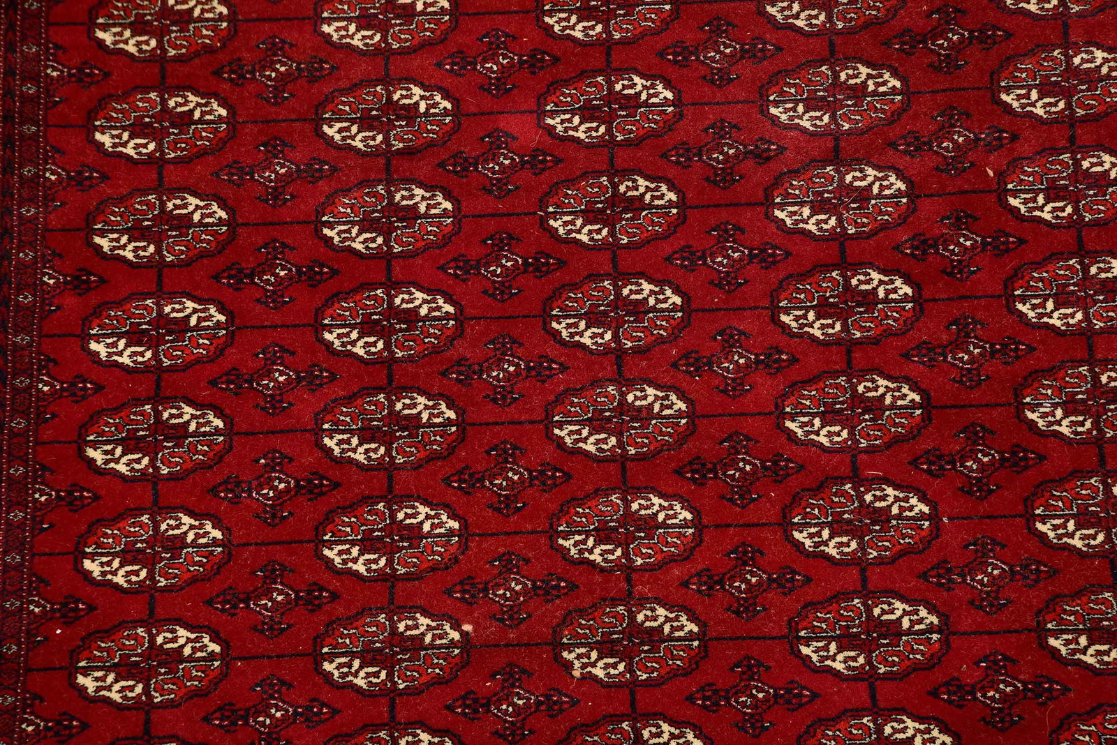 Bokharra Carpet - 3