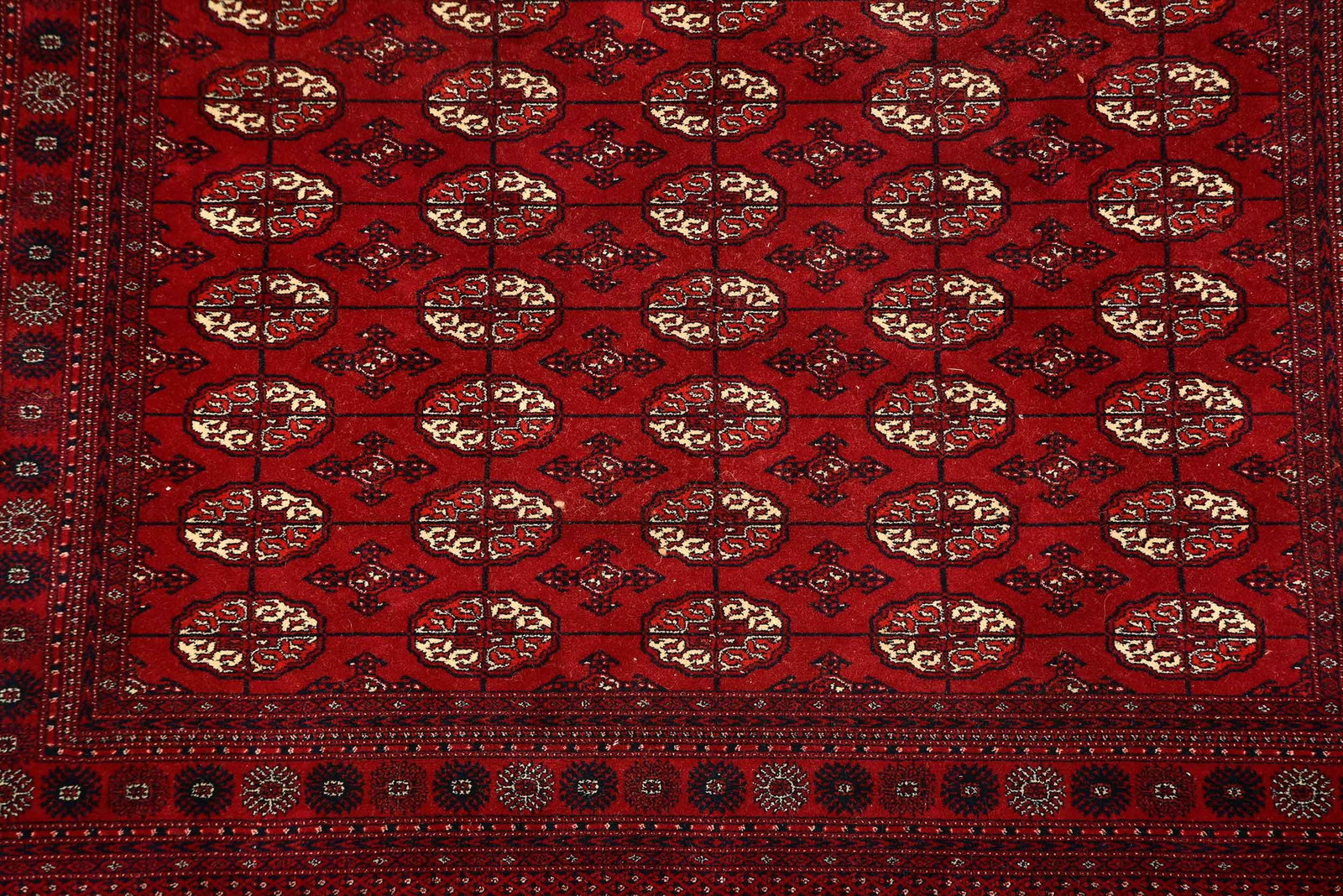 Bokharra Carpet - 4