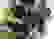 item-27972355=3
