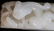 Two Large Antique Chinese White Jade - 5