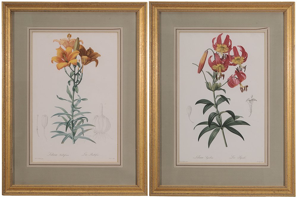 After 	Pierre Joseph Redouté (1 of 7)