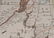A New Map of the East Indies - 2